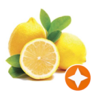 Taylor Lemon Avatar
